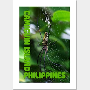 Camiguin Island Philippines Posters and Art